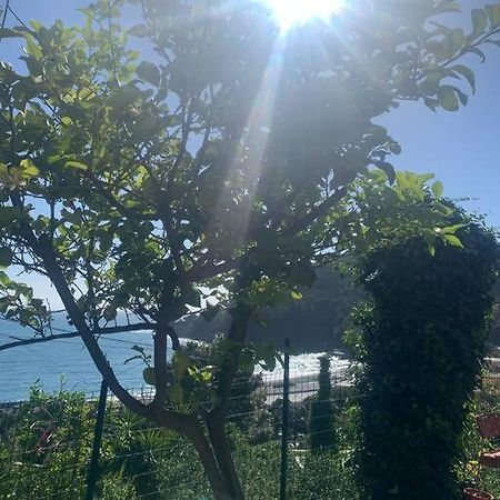 Appartement Cozy Beach House With Nice Garden, Basic Feel à Bonassola Extérieur photo