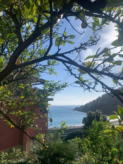 Appartement Cozy Beach House With Nice Garden, Basic Feel à Bonassola Extérieur photo